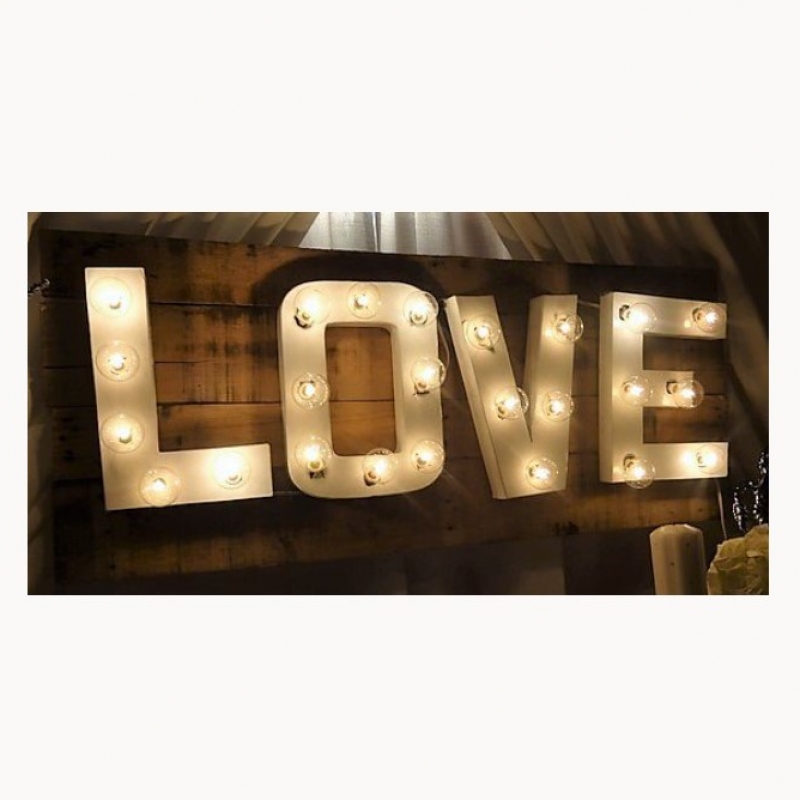 4'x2' LOVE Sign 